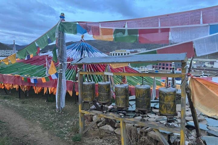 Kailash Mansarovar Overland: 14-Day Pilgrimage & Kora Trek photo 3