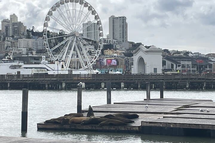 San Francisco to Stanford: Private Highlights & Shopping Tour photo 4