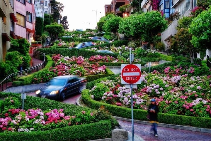 San Francisco to Stanford: Private Highlights & Shopping Tour