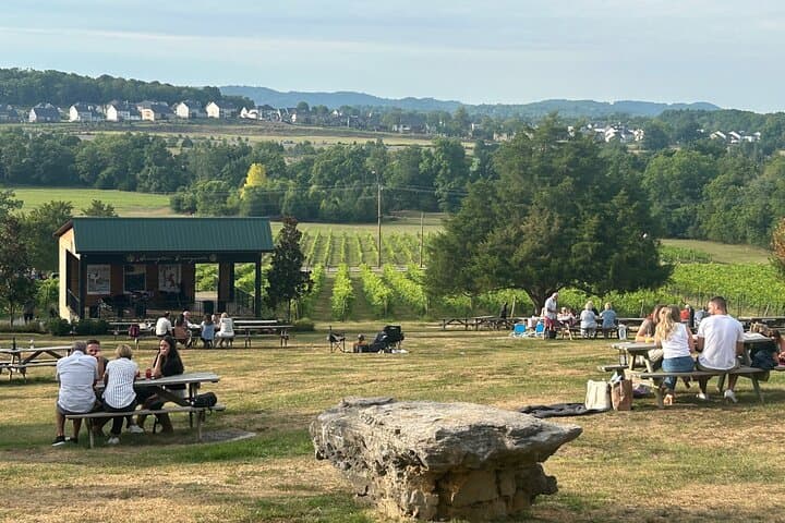 Private Arrington Vineyards & Franklin Dine: Half-Day Wine Tour from Nashville photo 1