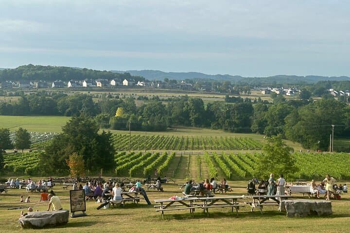 Private Arrington Vineyards & Franklin Dine: Half-Day Wine Tour from Nashville photo 3