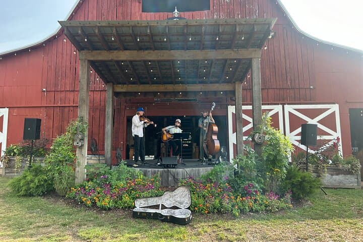 Private Arrington Vineyards & Franklin Dine: Half-Day Wine Tour from Nashville photo 2