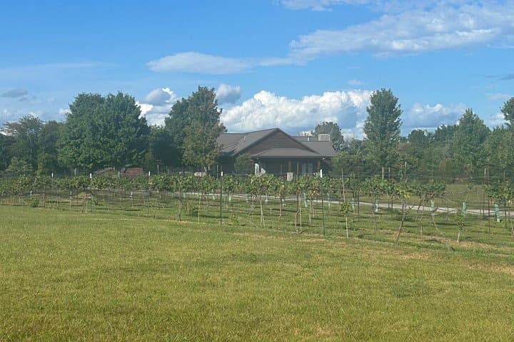 Arrington Vineyards and Historic Franklin Private Wine Tour from Nashville photo 3