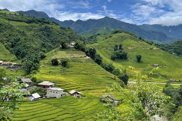 Half-Day Sapa Trek: Lao Chai & Ta Van Villages through Muong Hoa Valley photo 3