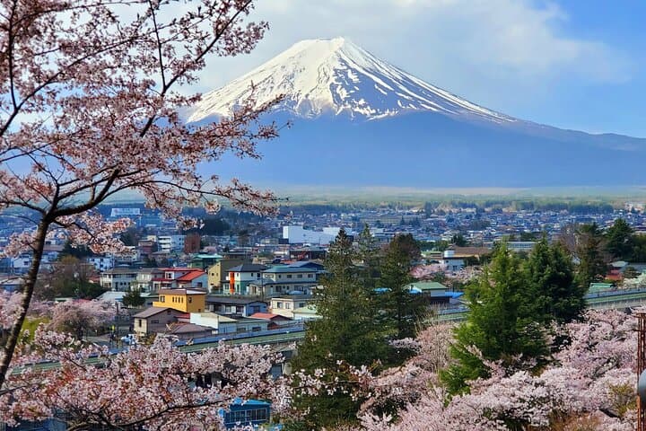 3-Day Private Tour from Tokyo: Tokyo, Mt. Fuji & Hakone Highlights photo 3