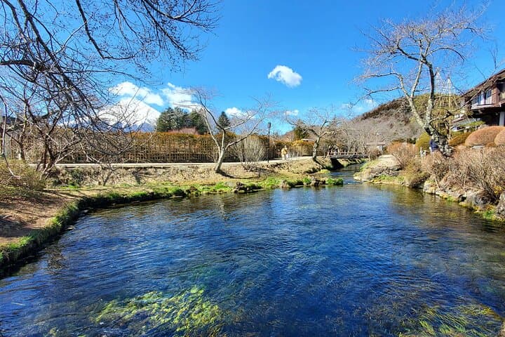 2-Day Tokyo to Mount Fuji & Hakone Private Tour — Chureito Pagoda, Lake Ashi & Hakone Ropeway photo 5