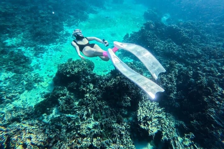 Phu Quoc Coral Reef Diving: One-Day Guided Scuba Adventure