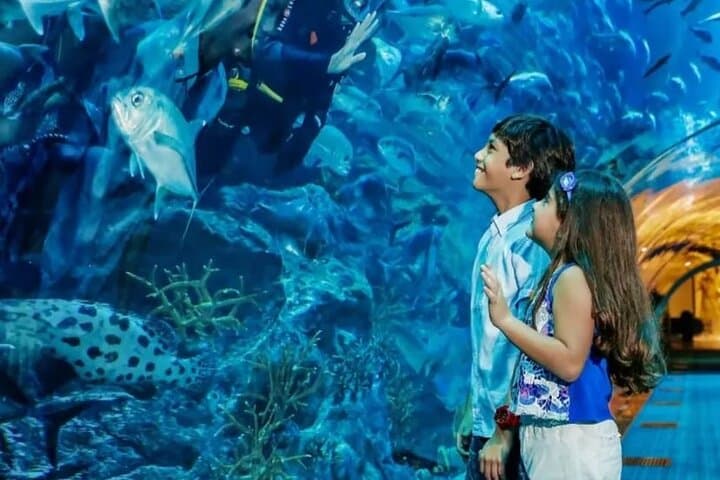 Sky-High Views and Underwater Worlds: Burj Khalifa & Dubai Aquarium Combo Ticket photo 2