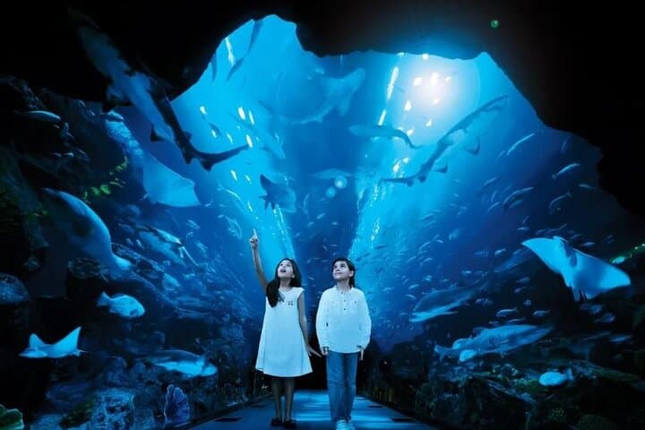 Sky-High Views and Underwater Worlds: Burj Khalifa & Dubai Aquarium Combo Ticket photo 5