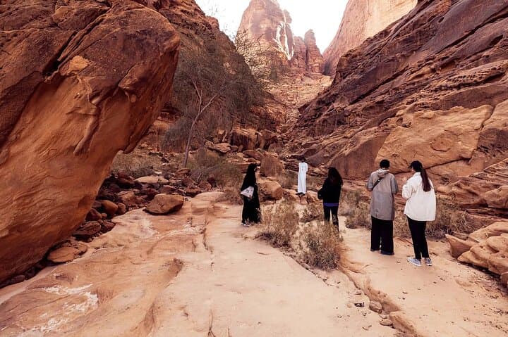 Dadan & Jabal Ikmah Tour — Explore Ancient Tombs and Rock Inscriptions in AlUla photo 3