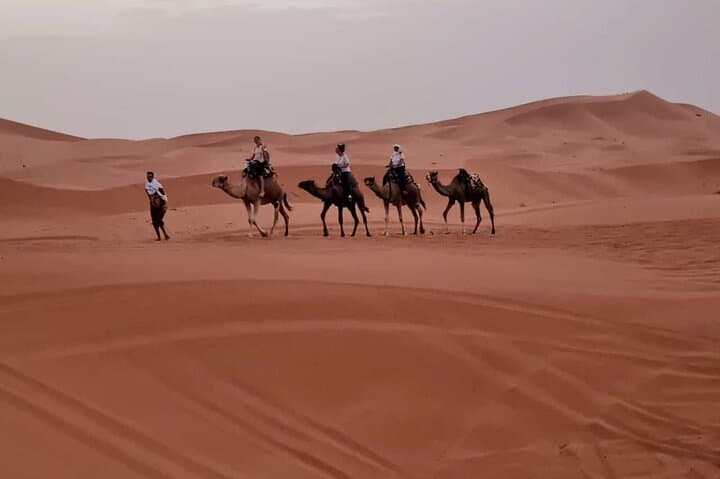 Merzouga Camel Trekking: 1-Night Luxury Desert Camp Experience