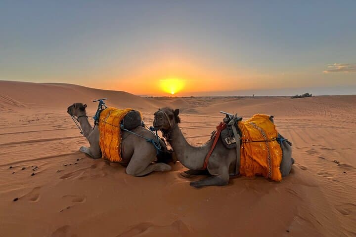 Merzouga Camel Trekking: 1-Night Luxury Desert Camp Experience photo 3