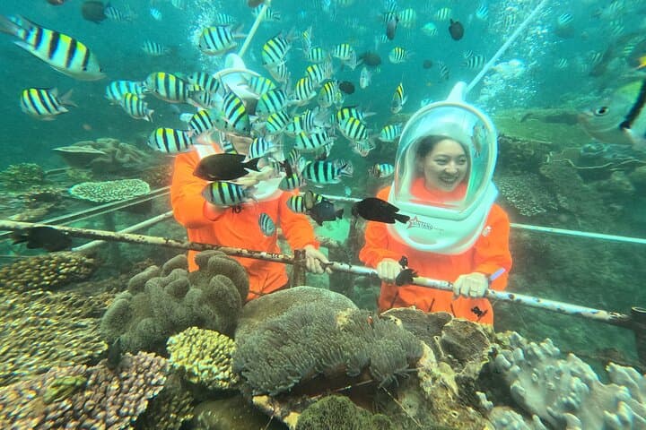 Bali Sea Walking Experience — Walk the Shallow Reefs of Tanjung Benoa photo 2