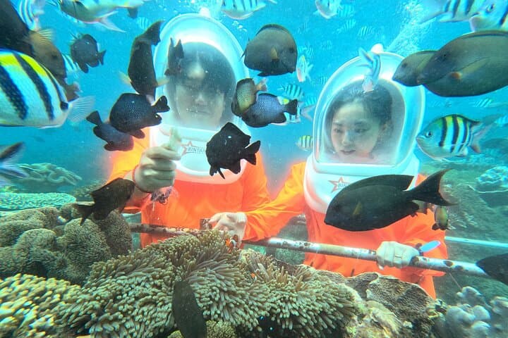 Bali Sea Walking Experience — Walk the Shallow Reefs of Tanjung Benoa photo 3