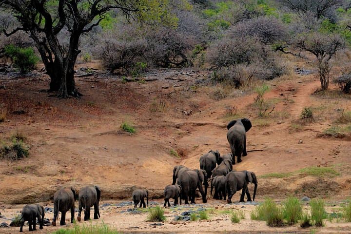 8-Day Private Kenya Safari: Masai Mara, Amboseli & Tsavo Expedition photo 1