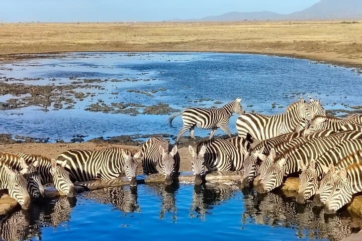 Tsavo East 2-Day Safari: Dust-Red Elephants & Galana River Game Drives