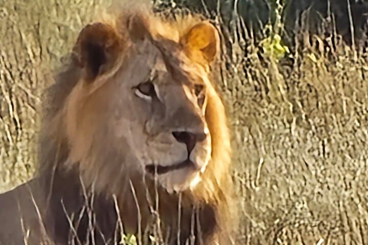 Tsavo East 2-Day Safari: Dust-Red Elephants & Galana River Game Drives photo 2