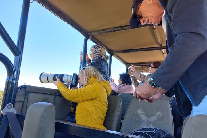Addo Elephant National Park Full-Day Big Five Safari from Gqeberha photo 4
