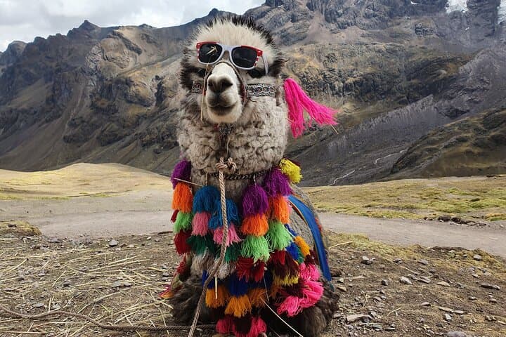 Vinicunca (Rainbow Mountain) Full-Day Trek from Cusco photo 6