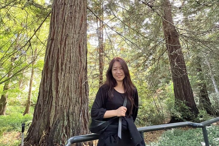 Golden Gate Park Hidden Gems, Highlights and History Walking Tour photo 5