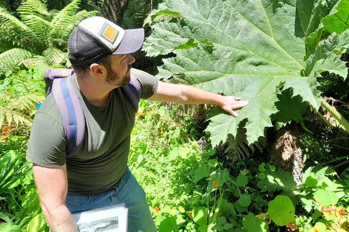 Golden Gate Park Hidden Gems, Highlights and History Walking Tour photo 6
