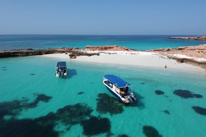 Dimaniyat Islands Snorkeling: A Private Day Trip from Muscat photo 2