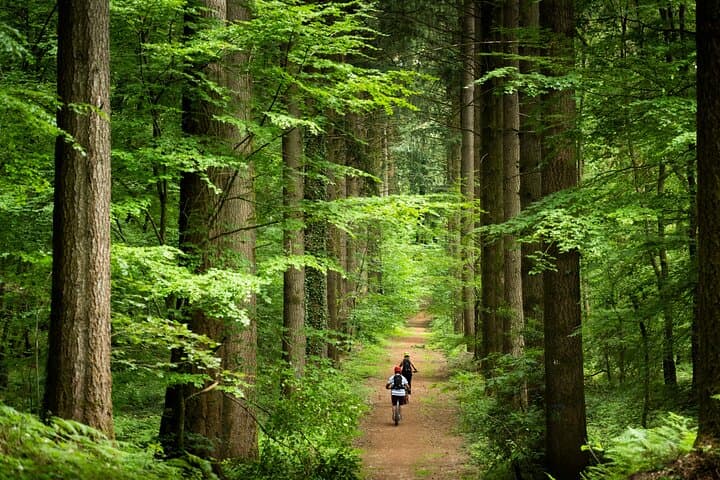 Mayenne All-Terrain Electric Scooter Forest Tours — 3 to 9 km Guided Routes photo 6
