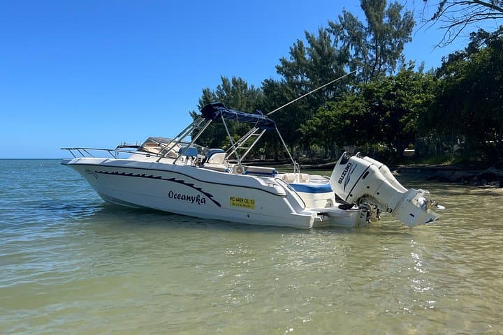Private Whale Watching and Ocean Safari in Mauritius: Le Morne to Albion photo 2