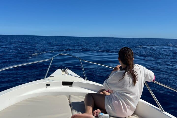 Private Whale Watching and Ocean Safari in Mauritius: Le Morne to Albion photo 3