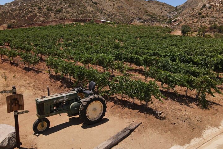 Customizable Guadalupe Wine Valley Tour: Private Tastings from Ensenada photo 2