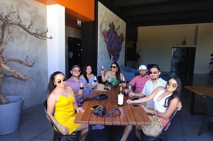 Customizable Guadalupe Wine Valley Tour: Private Tastings from Ensenada photo 3