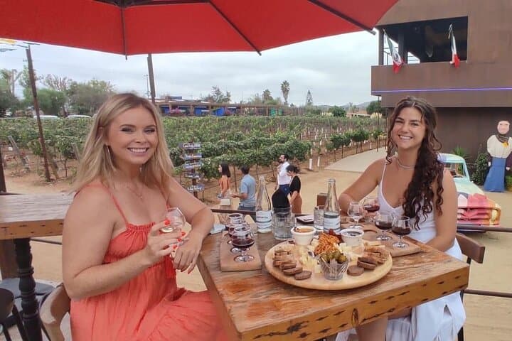 Customizable Guadalupe Wine Valley Tour: Private Tastings from Ensenada photo 5