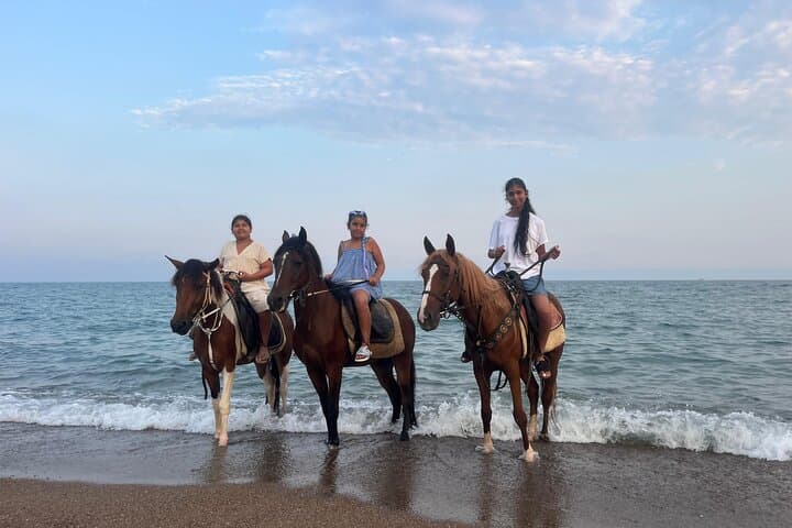 Horseback Beach & Forest Ride in Antalya's Lara Region