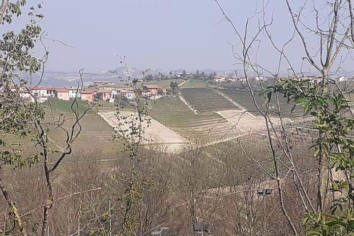 Langhe Wine Mystery Game in Neive — Private Cellar Adventure & Historic Village Walk photo 6