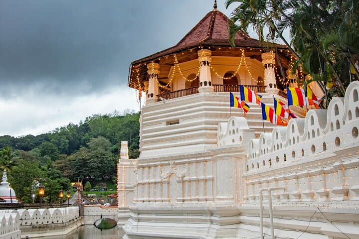 Sri Lanka 8-Day Private Guided Tour: Safari, Cultural Triangle & Coastal Whales photo 2