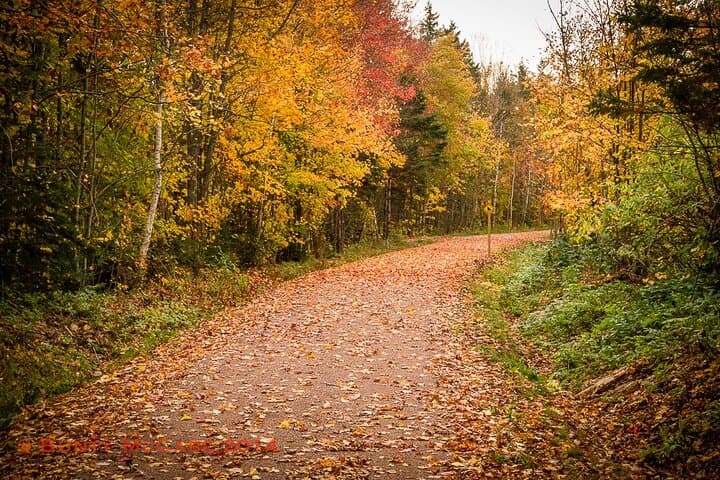 Charlottetown E-Bike Tour 2.5-Hour Ride on Confederation Trail photo 3