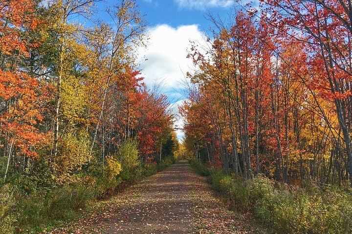 Charlottetown E-Bike Tour 2.5-Hour Ride on Confederation Trail photo 2