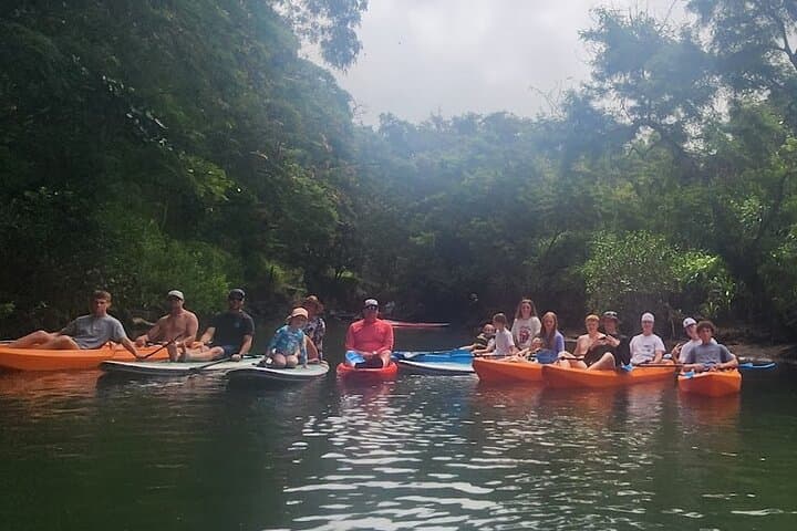 Paddle Hale'iwa’s Anahulu River: 2-Hour Tandem Kayak Rental photo 5