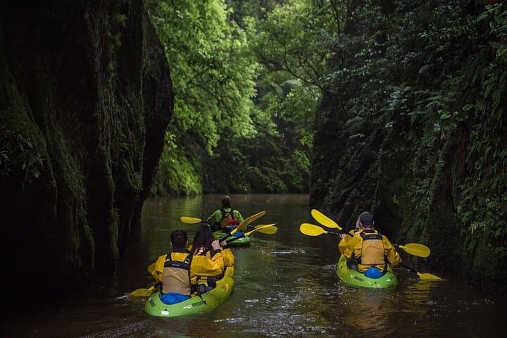 Twilight Kayak Glowworm Tour on Waikato River — Pokaiwhenua Canyon Stargazing photo 1