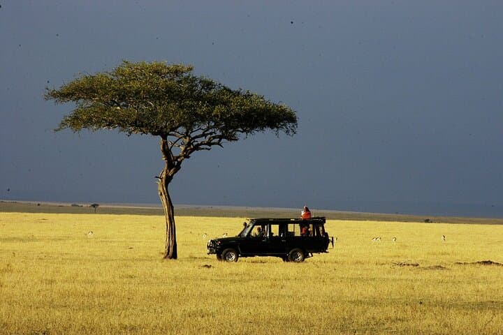 3-Day Masai Mara Camping Safari: 4x4 Game Drives, Culture & Hippo Pools photo 4