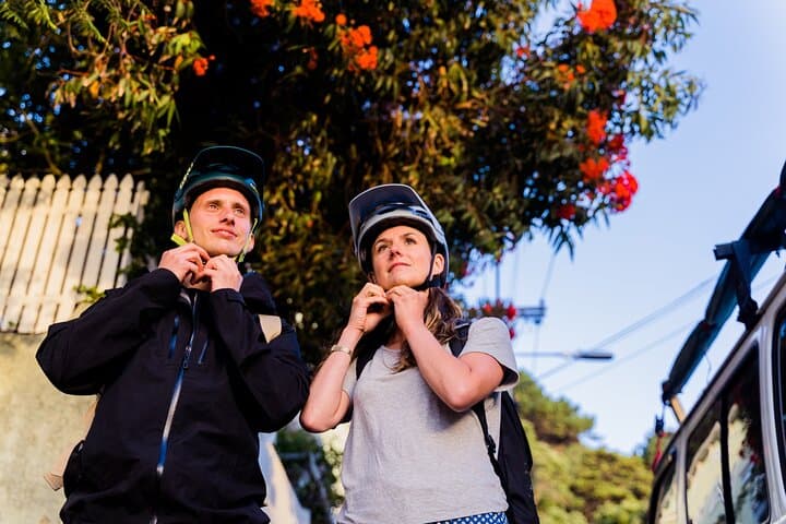 Wellington Waterfront Bike Rental: Explore Te Papa to Miramar on Two Wheels photo 2