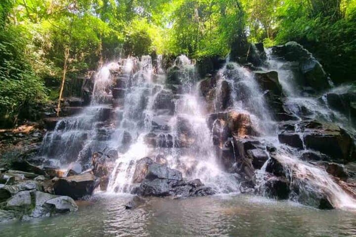 Full-Day Ubud Tour: Monkey Forest, Tegallalang Rice Terraces & Kanto Lampo Waterfall photo 2