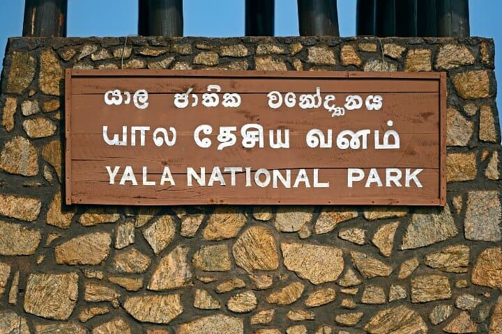 Yala Safari Experience: Full-Day Wildlife Drive to See Sri Lanka's Leopards photo 4