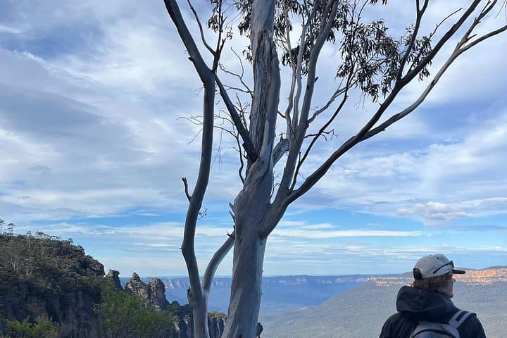 Private Blue Mountains Eco Day Tour from Sydney — Guided World Heritage Day Trip