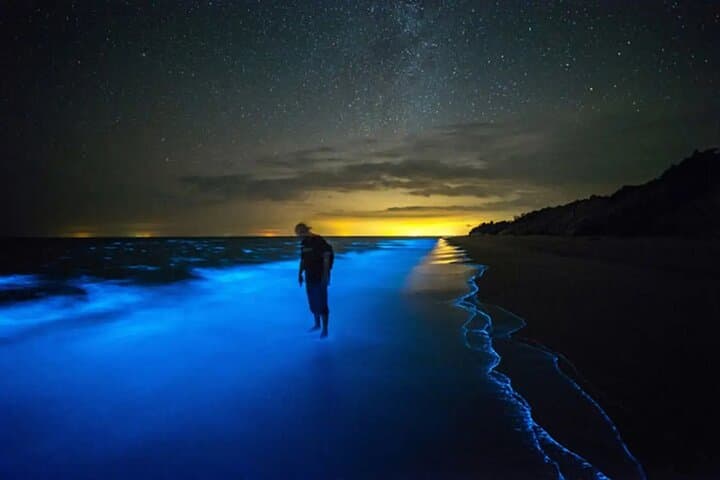 Grand Cayman Bioluminescence Adventure: Night Swim in Cayman Kai photo 4