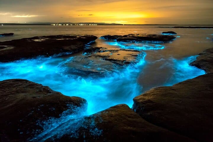 Grand Cayman Bioluminescence Adventure: Night Swim in Cayman Kai photo 5
