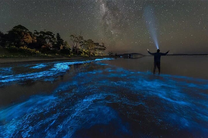 Grand Cayman Bioluminescence Adventure: Night Swim in Cayman Kai photo 6