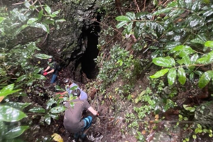 Cole's Cave Spelunking Adventure: Explore Barbados' Pleistocene Coral Cave photo 2