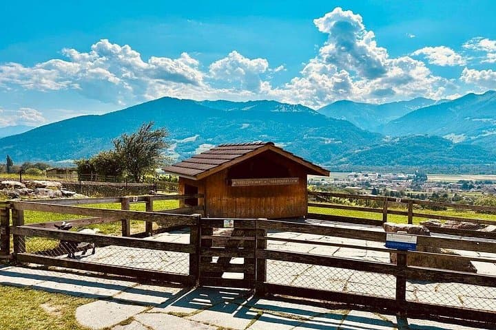 Heidi World Family Day from Zurich — Private Trip to Heididorf & Pardiel Gondola