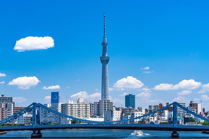 Asakusa to Skytree: Historical Walking Tour and Panoramic Views of Tokyo photo 2